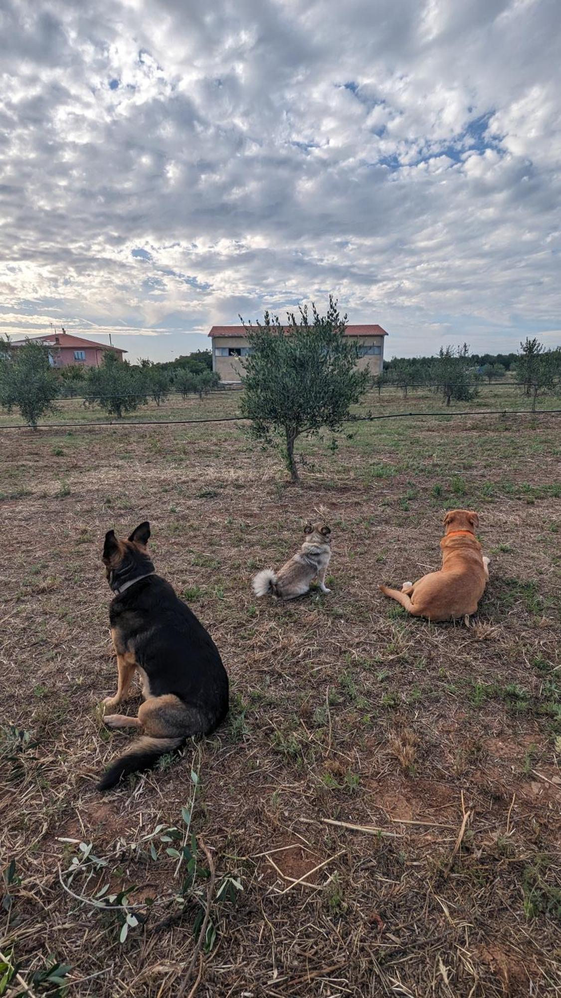 Casa Rurale San Vincenzo Eksteriør billede